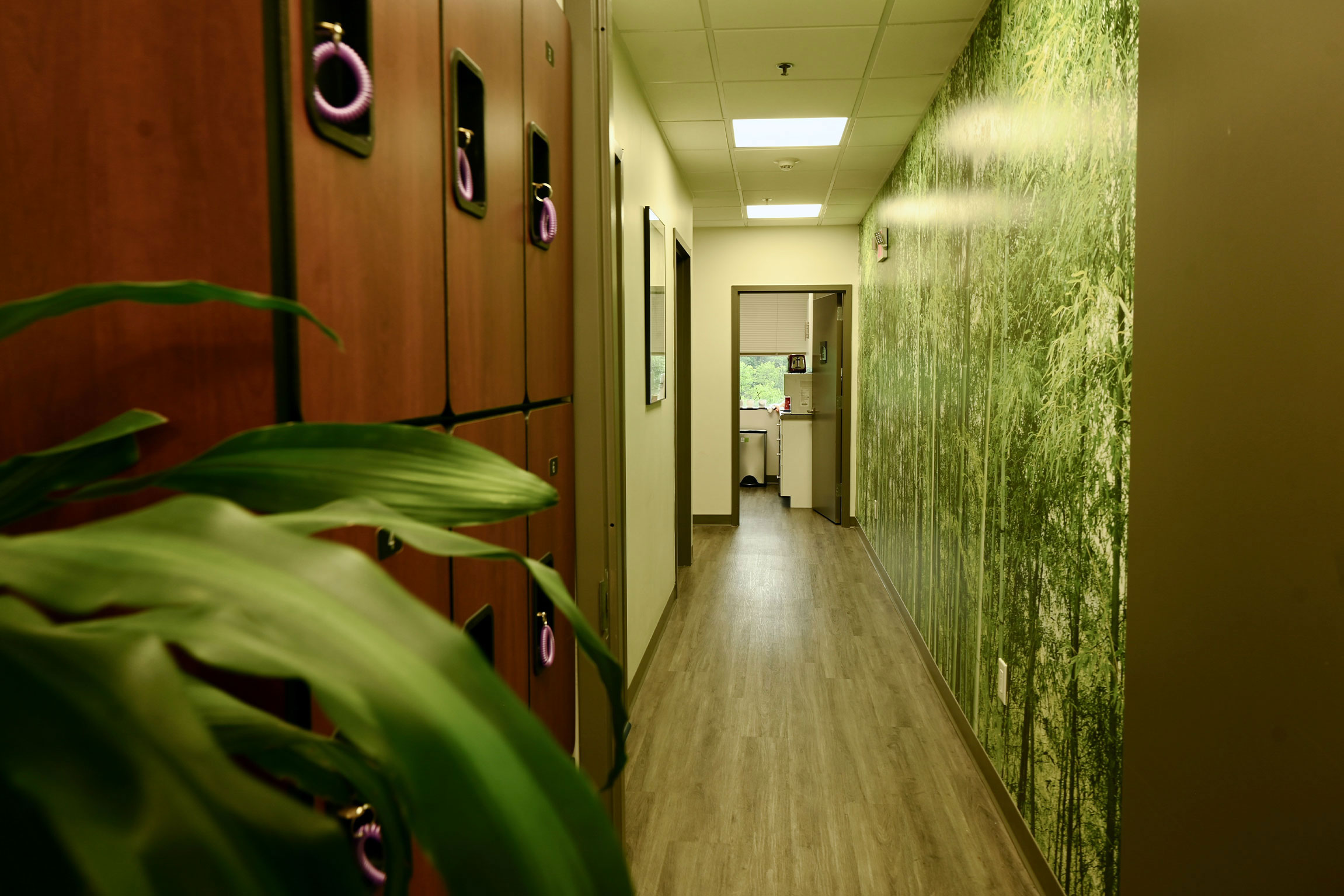 The image shows an interior hallway with a vibrant green wallpaper featuring bamboo-like plants, a long wooden bench on the right side, and a row of lockers along the left wall.
